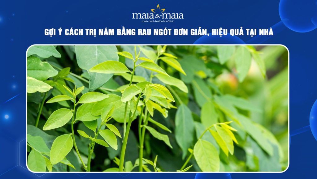 Gợi ý cách trị nám bằng rau ngót đơn giản, hiệu quả tại nhà 1 cách trị nám bằng rau ngót