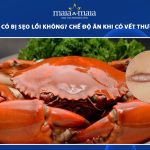 ăn cua có bị sẹo lồi không