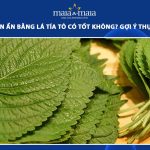 trị mụn ẩn bằng lá tía tô