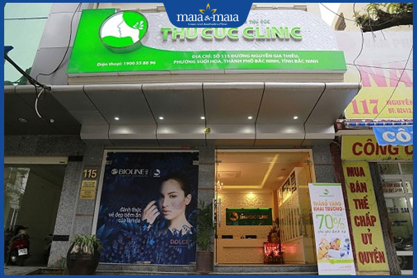 Gợi ý 6 địa chỉ xóa nếp nhăn hiệu quả, uy tín tại Bắc Ninh 4 thu cúc bắc ninh