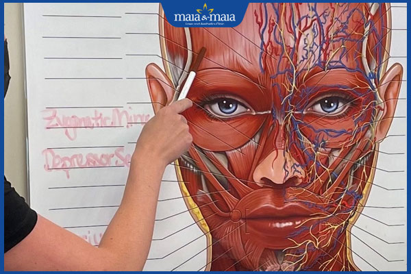 Học tiêm filler giá bao nhiêu? Chi phí có đắt không? 4 phân tích khuôn mặt