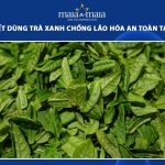 trà xanh chống lão hóa