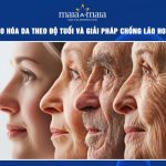 lão hóa da theo độ tuổi