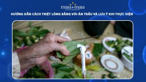 Hướng dẫn cách triệt lông bằng vôi ăn trầu và lưu ý khi thực hiện 34 triệt lông bằng vôi ăn trầu
