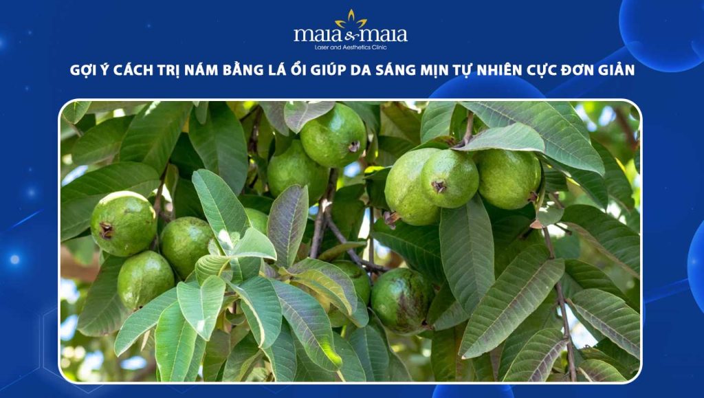 cách trị nám bằng lá ổi
