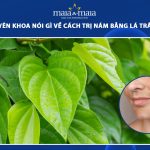 cách trị nám bằng lá trầu không