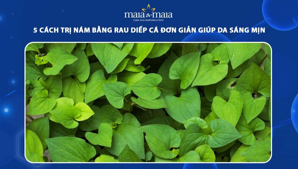 cách trị nám bằng rau diếp cá
