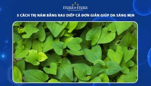 5 cách trị nám bằng rau diếp cá đơn giản giúp da sáng mịn 84 cách trị nám bằng rau diếp cá