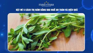 Bật mí 5 cách trị nám bằng rau ngổ an toàn và hiệu quả 28 Cách trị nám bằng rau ngổ