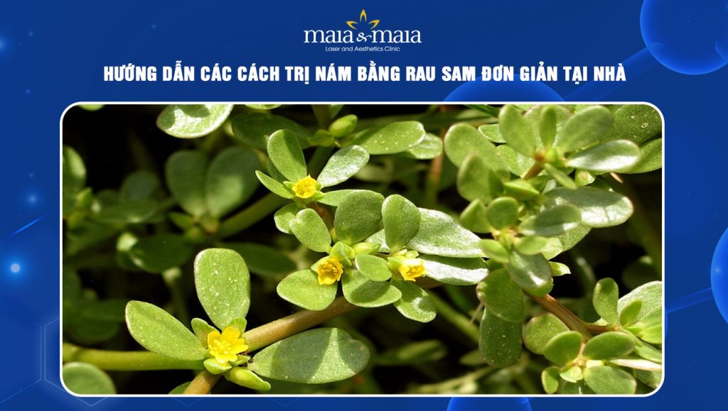Hướng dẫn các cách trị nám bằng rau sam đơn giản tại nhà  1 cách trị nám bằng rau sam