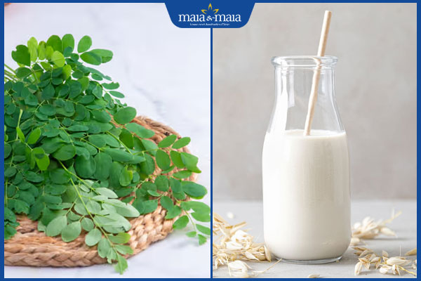 chùm ngây sữa tươi