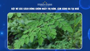 Bật mí các cách dùng chùm ngây trị nám, làm sáng da tại nhà 115 chùm ngây trị nám
