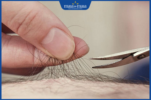 dùng kéo cắt tỉa lông
