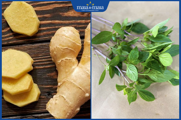 gừng và lá quế