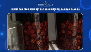 Hướng dẫn cách dùng hạt gấc ngâm rượu trị nám làm sáng da 88 hạt gấc ngâm rượu trị nám