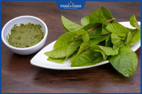 hiệu quả trị nám bằng lá ổi