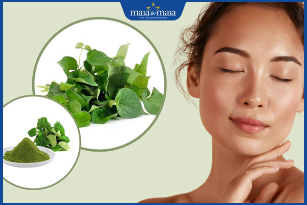 hiệu quả trị nám với rau diếp cá