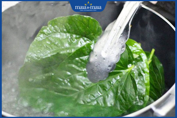 nấu trầu không xông hơi