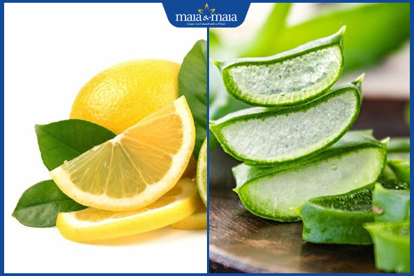 Hướng dẫn cách tẩy lông vùng kín tại nhà đơn giản, tiện lợi 4 nha đam chanh