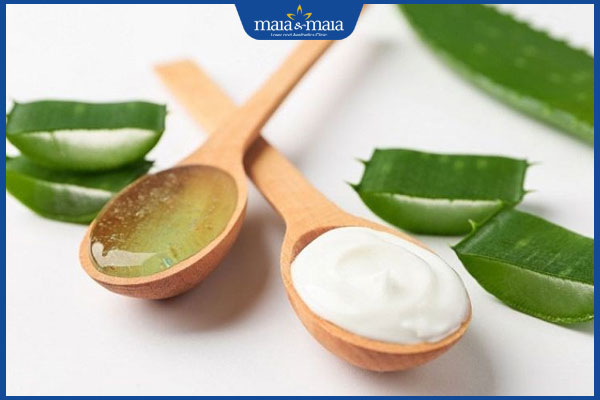 Nha đam và sữa chua