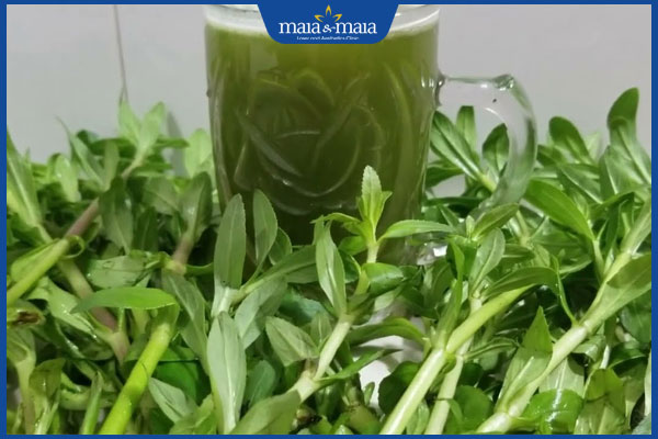 nước ép từ rau ngổ