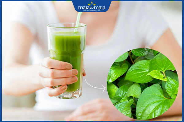 nước rau diếp cá