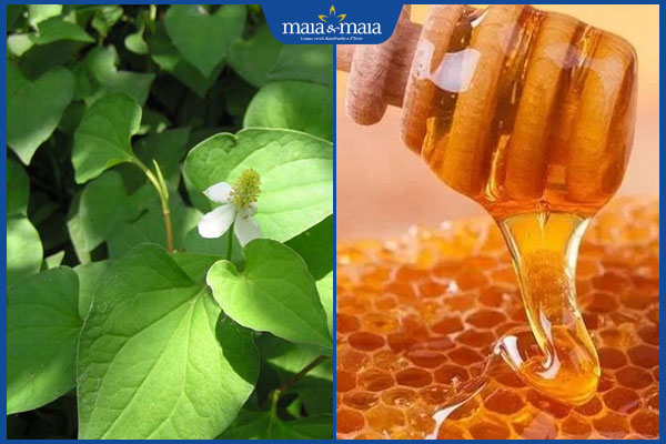 rau diếp cá và mật ong