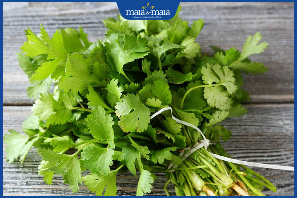 Hướng dẫn 4 cách trị nám bằng rau mùi an toàn tại nhà 2 Rau mùi tươi