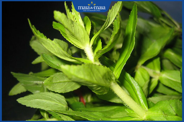 rau ngổ nguyên chất