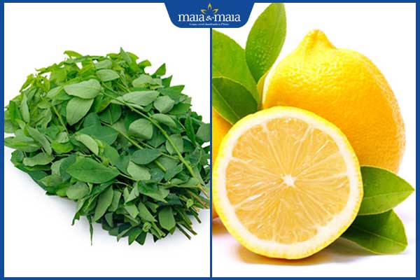 Gợi ý cách trị nám bằng rau ngót đơn giản, hiệu quả tại nhà 5 rau ngót và chanh