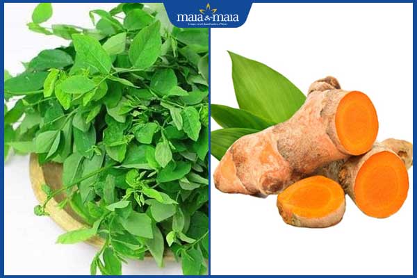 Gợi ý cách trị nám bằng rau ngót đơn giản, hiệu quả tại nhà 3 rau-ngot-va-nghe