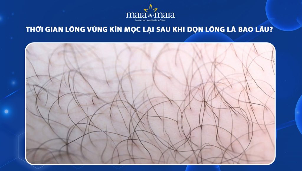thời gian lông vùng kín mọc lại