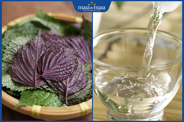 tía tô và giấm