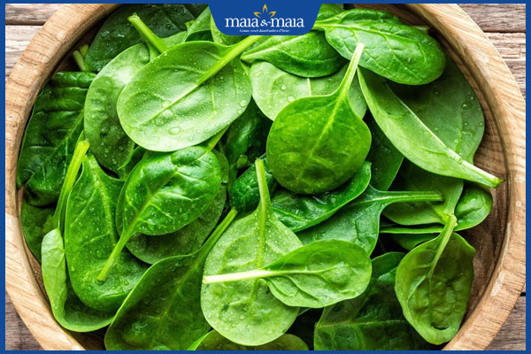 Top 7 công thức trị nám bằng lá mồng tơi an toàn tại nhà 2 công dụng trị nám của lá mồng tơi