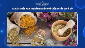 Lá cây thuốc nam trị nám da hiệu quả không? Cần lưu ý gì? 55 lá cây thuốc nam trị nám da