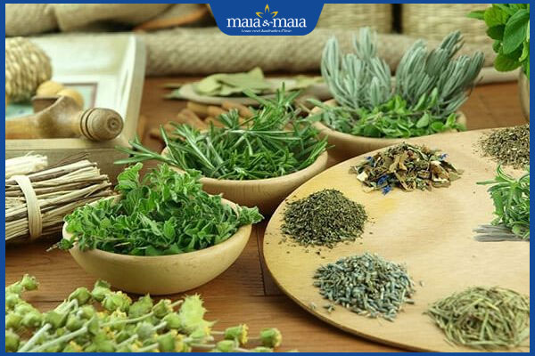 Lá cây thuốc nam trị nám da hiệu quả không? Cần lưu ý gì? 2 lá cây thuốc nam xóa nám