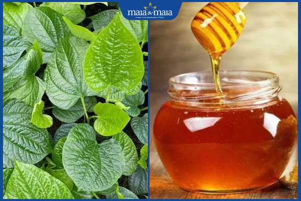 Top 5+ công thức trị nám bằng lá lốt được ưa chuộng nhất! 3 lá lốt và mật ong