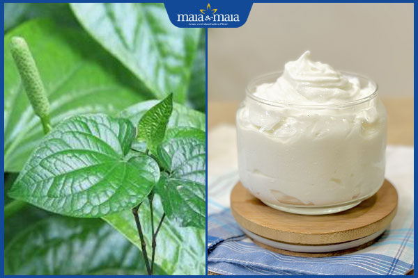 Top 5+ công thức trị nám bằng lá lốt được ưa chuộng nhất! 5 lá lốt và sữa chua