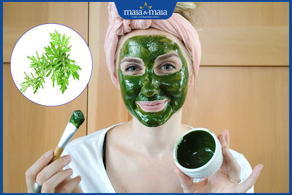 Bật mí các công thức trị nám bằng ngải cứu an toàn tại nhà 2 lợi ích của ngải cứu