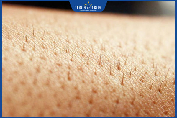 Tẩy lông bằng thảo dược là gì? Cần lưu ý gì khi thực hiện? 2 lông mọc chậm lại