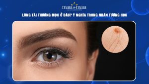 Lông tài thường mọc ở đâu? Ý nghĩa trong nhân tướng học 6 lông tài