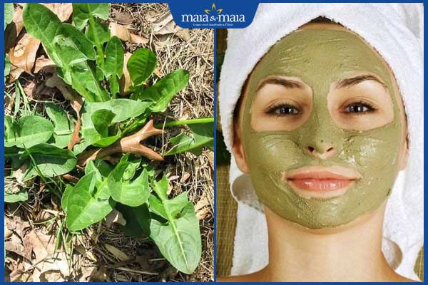 mạt nạ bồ công anh