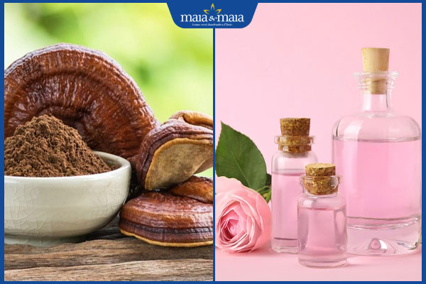 nấm linh chi và nước hoa hồng