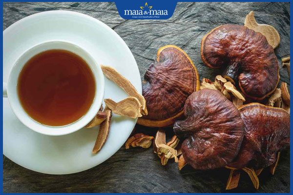 nước nấm linh chi