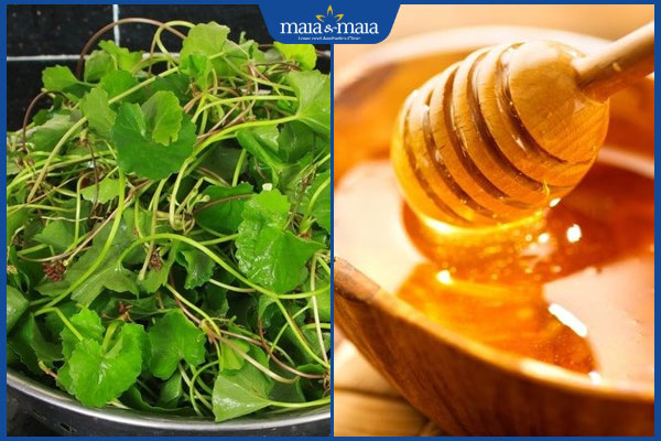 Trị nám bằng rau má hiệu quả không? 5 công thức đơn giản nhất 4 rau má và mật ong