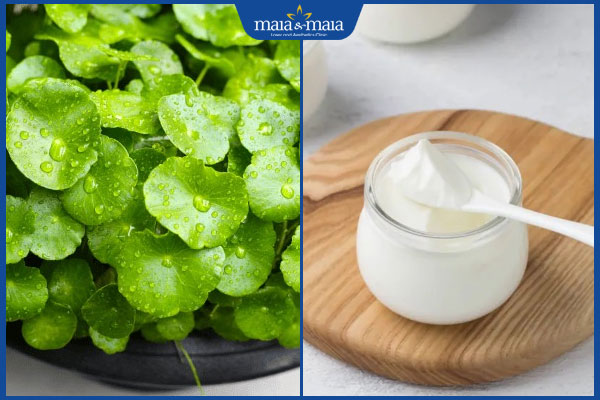 Trị nám bằng rau má hiệu quả không? 5 công thức đơn giản nhất 3 rau má và sữa chua