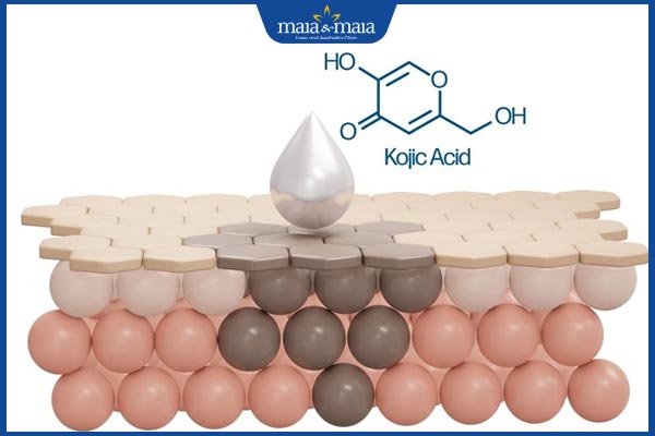 Điều trị nám da bằng Axit Kojic có tốt không? Quy trình sử dụng an toàn 2 tác dụng axit kojic