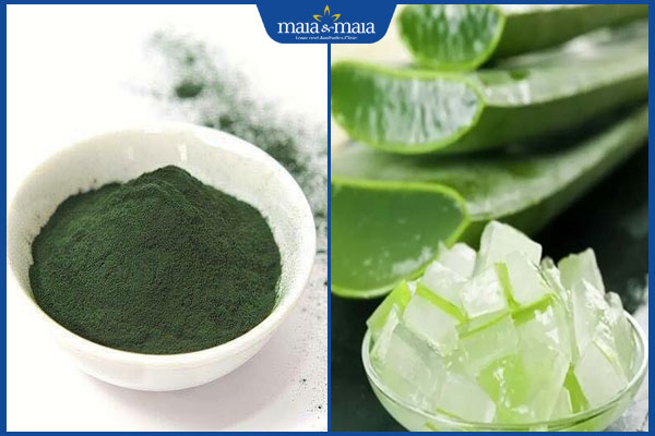 Gợi ý 6 cách trị nám bằng tảo xoắn, dưỡng da an toàn tại nhà 4 tảo xoắn và nha đam