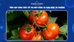 tẩy ria mép bằng cà chua