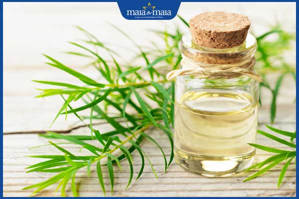 Bí quyết trị nám bằng tinh dầu, duy trì da sáng mịn tại nhà 4 tinh dầu tràm trà